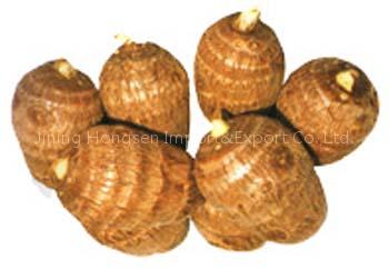 Taros