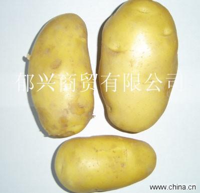 potato