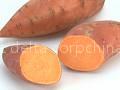 Japanese sweet potato