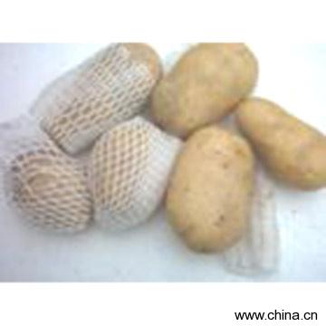 Potato