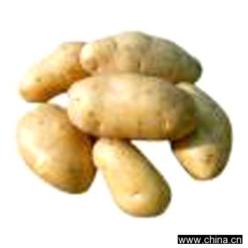 Potatoes