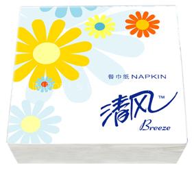 Paper Napkins-B75AH