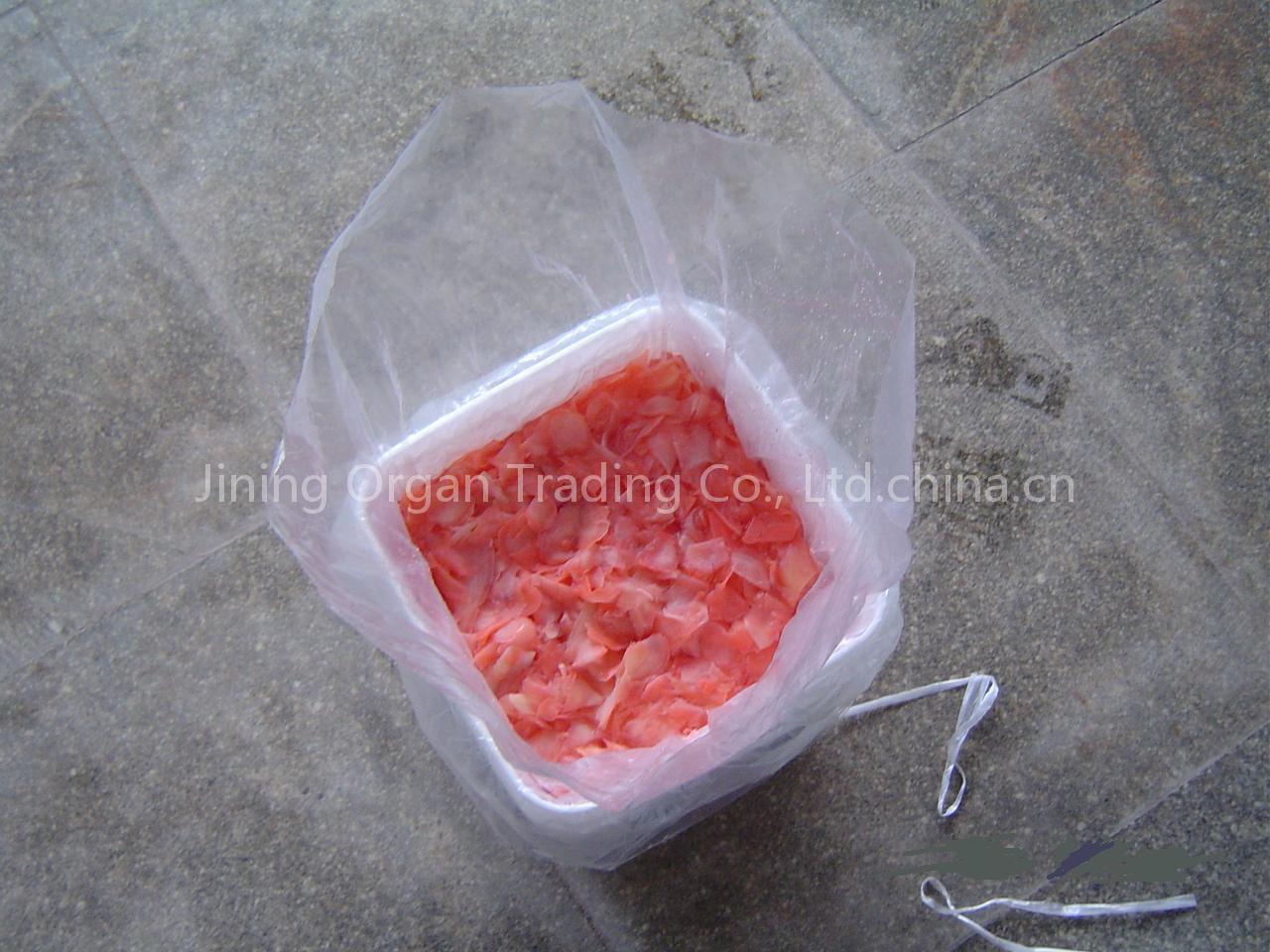the red & white shusi ginger
