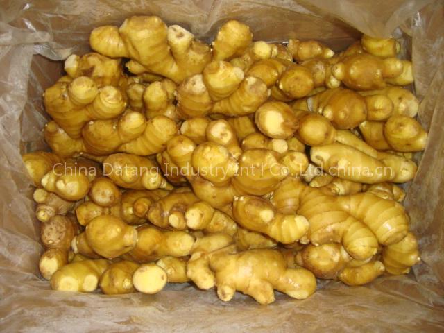 fresh ginger