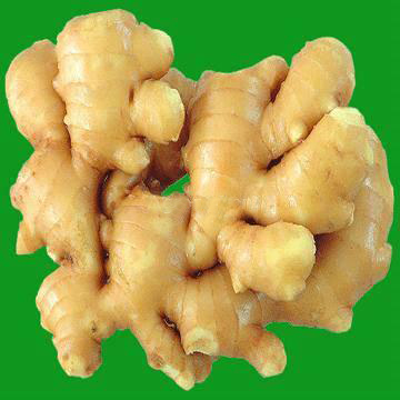 2010 yellow fresh ginger