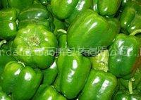 Bell Pepper