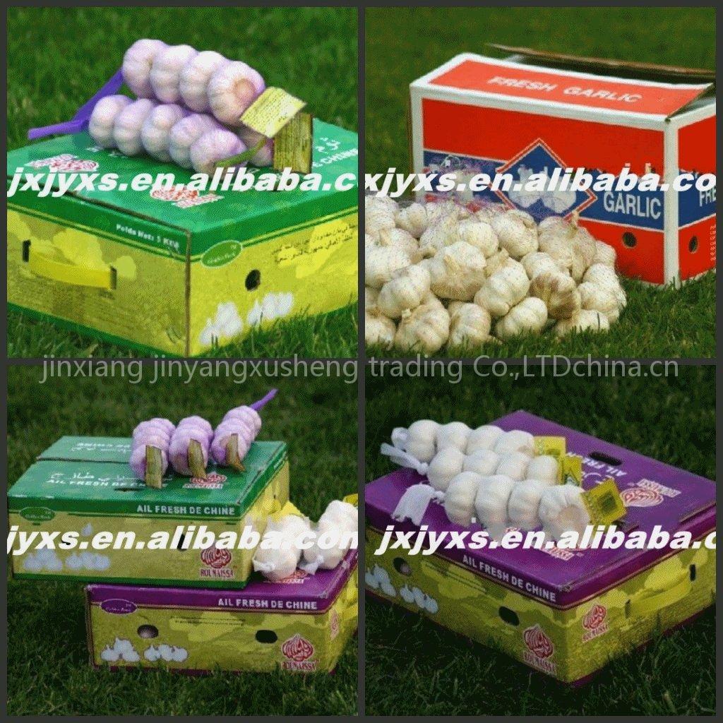 pure white garlic