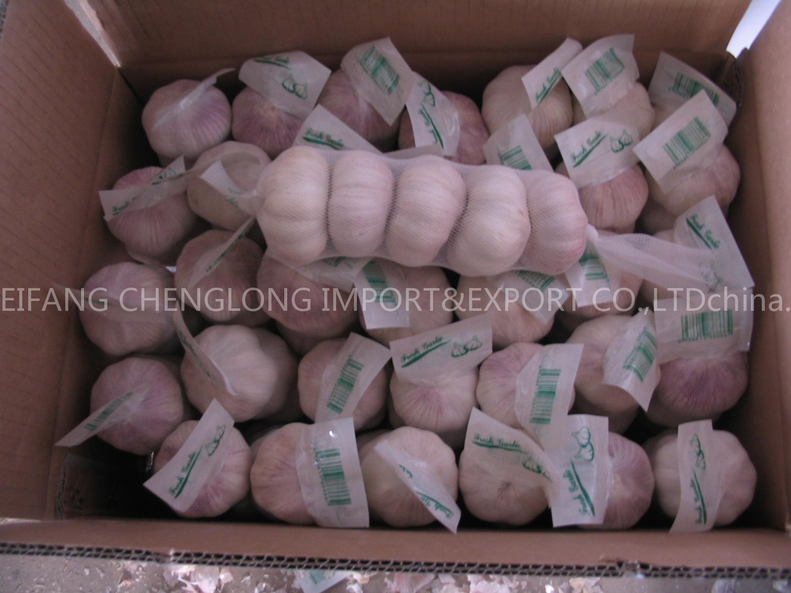Fresh garlic