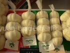 Pizhou garlic