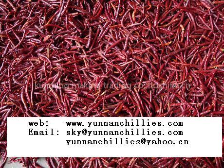 yunnan chilli