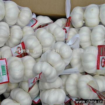 China Garlic