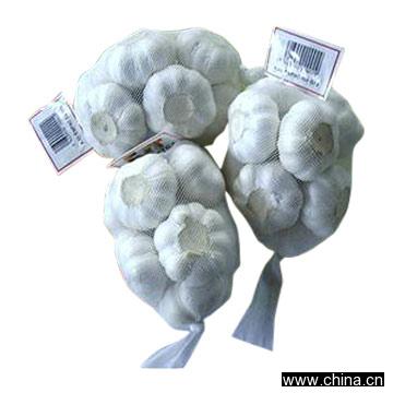Garlic From China