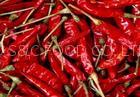 red chilli