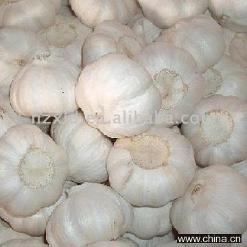 Pure White Garlic