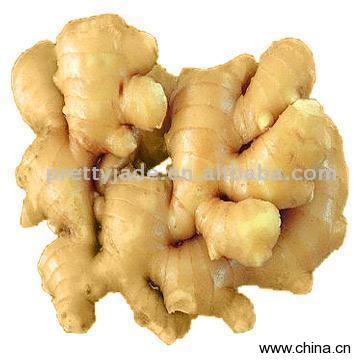 Fresh Ginger