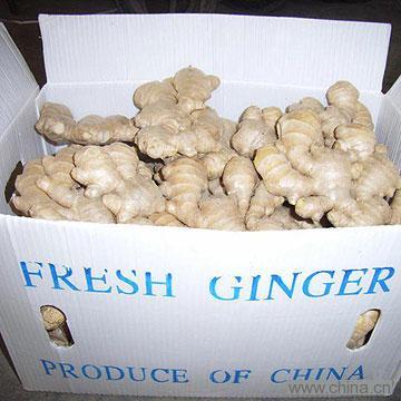 Fresh Ginger