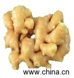 Ginger
