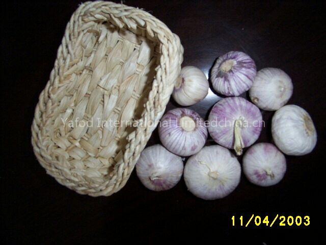 Single Clove Garlic