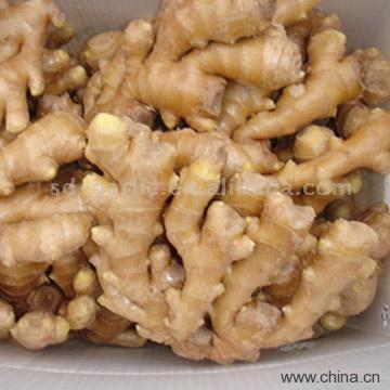 Dry Ginger