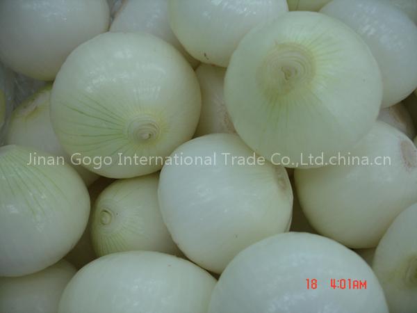 onion