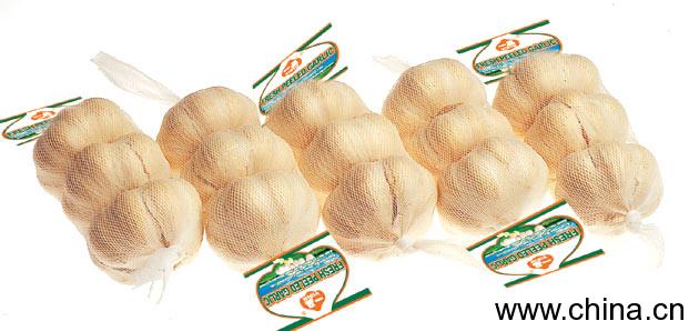 Fresh Garlic