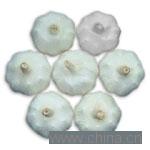Chinese Super Garlic