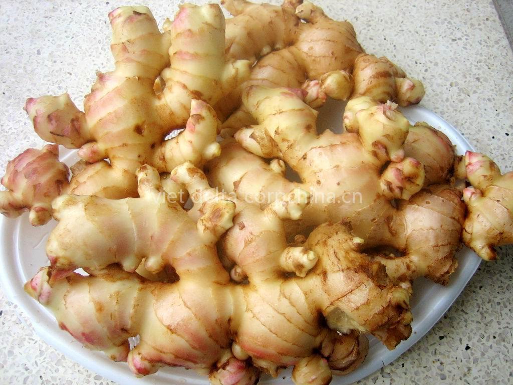 ginger: fresh and dry