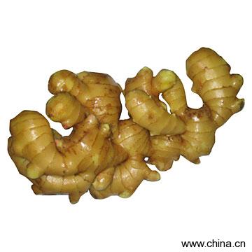 Ginger
