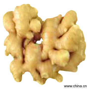 Fresh Ginger