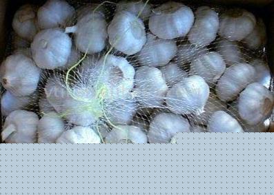 Pure White Garlic
