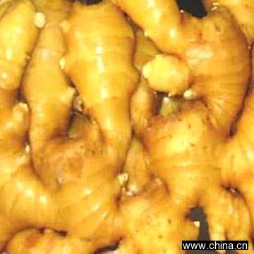 Fresh Ginger
