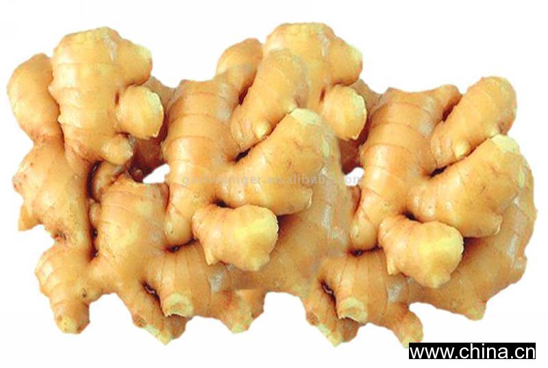 Fresh Ginger
