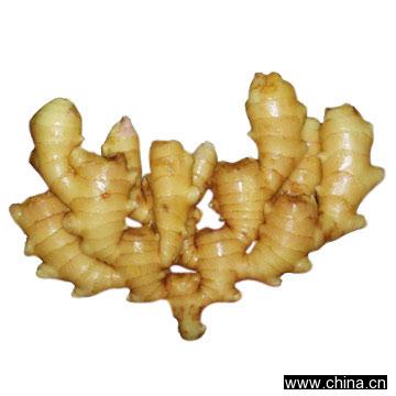 Ginger