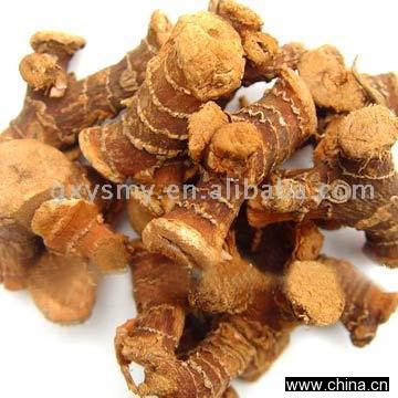 Galangals