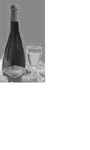 Italy Italian White Wine
