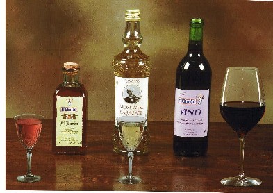 Spain Spanish Wine And Liquor