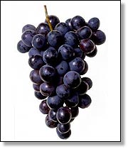 United States Rare American And Canadian Ice Wines