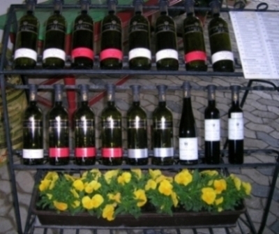 Austria Wines