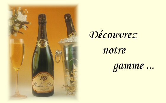 France Champagne French Wine