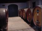 South Africa Wines