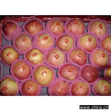 Red Fuji Apple