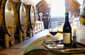 Chile Wines Of Chile