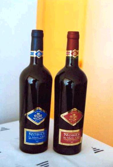 Argentina Wines Ponto