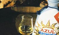 South Africa Azul Blue 100% Blue Agave