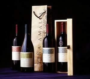 Argentina Wines, Cabernet, Chardonnay, Malbec, Syrah