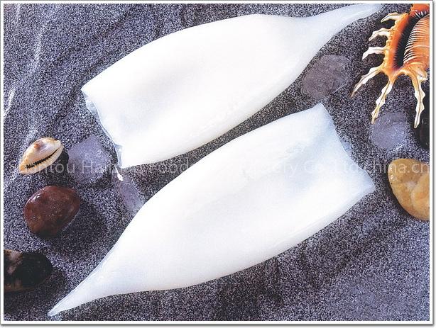 Frozen Squid Tubes