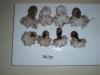 Cuttlefish, Squid, Octopus (India)