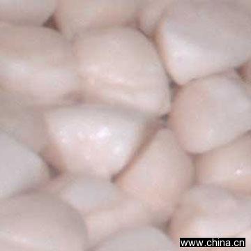 Frozen Boiled Scallop Adductors