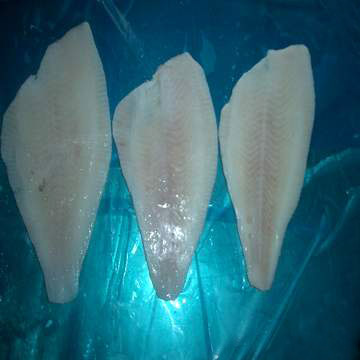 Frozen Yellow Fin Sole Fillet