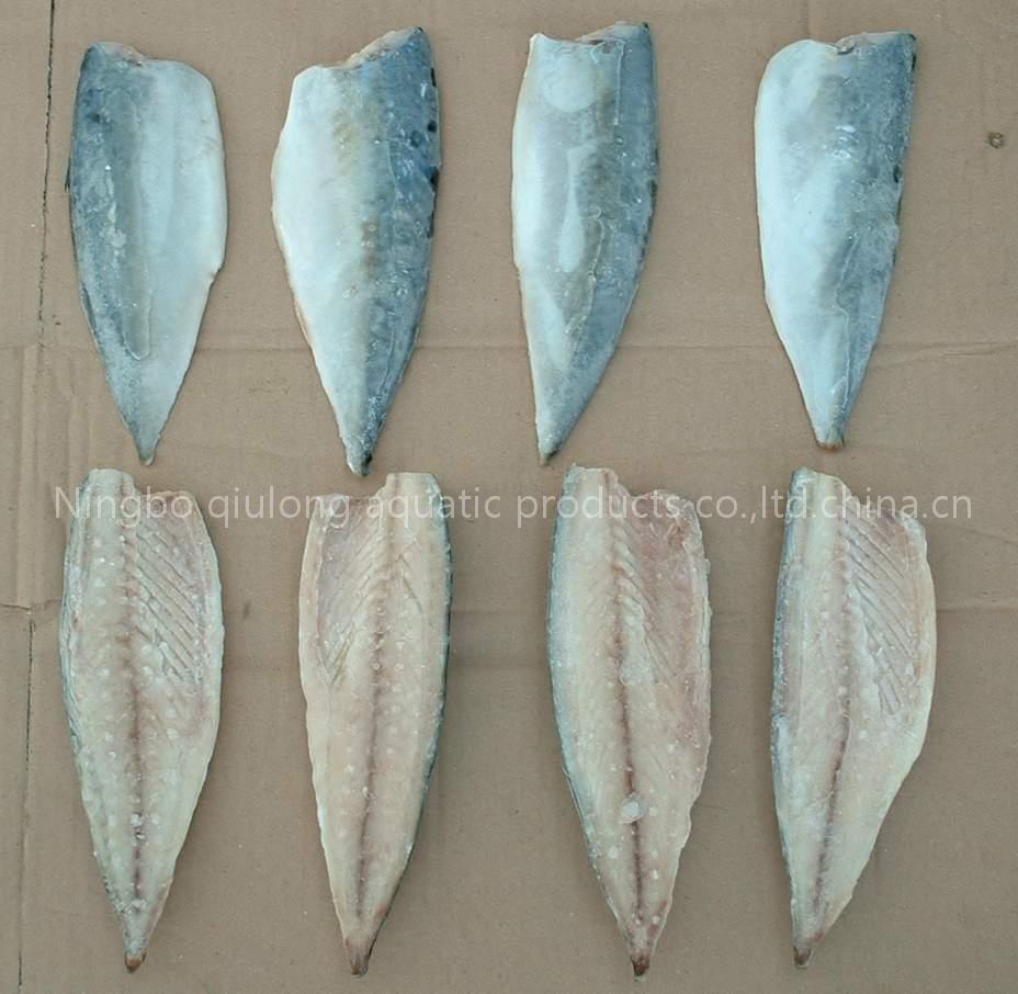 frozen mackerel HGT